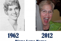 diane-lowe-house